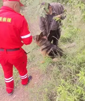 痛心！河南失联女孩遗体被找到3