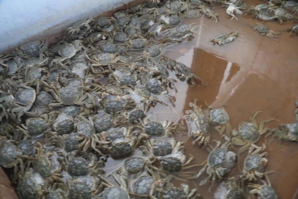 未命名图片5