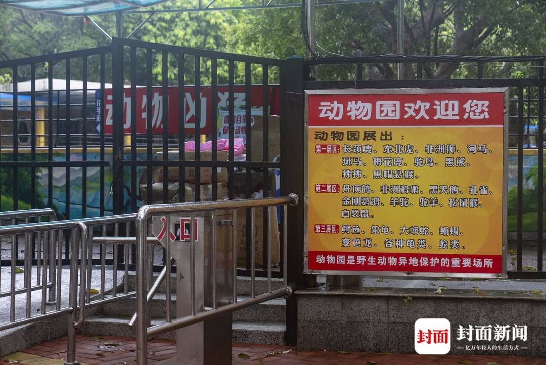 实探暴雨后的广东佛山动物园：积水深逾1米，没有动物受伤，未转移的猛兽“显得暴躁”2