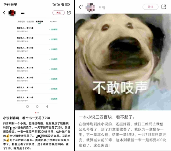 看一本动辄数百元，读者吐槽网络小说“看不起”了1