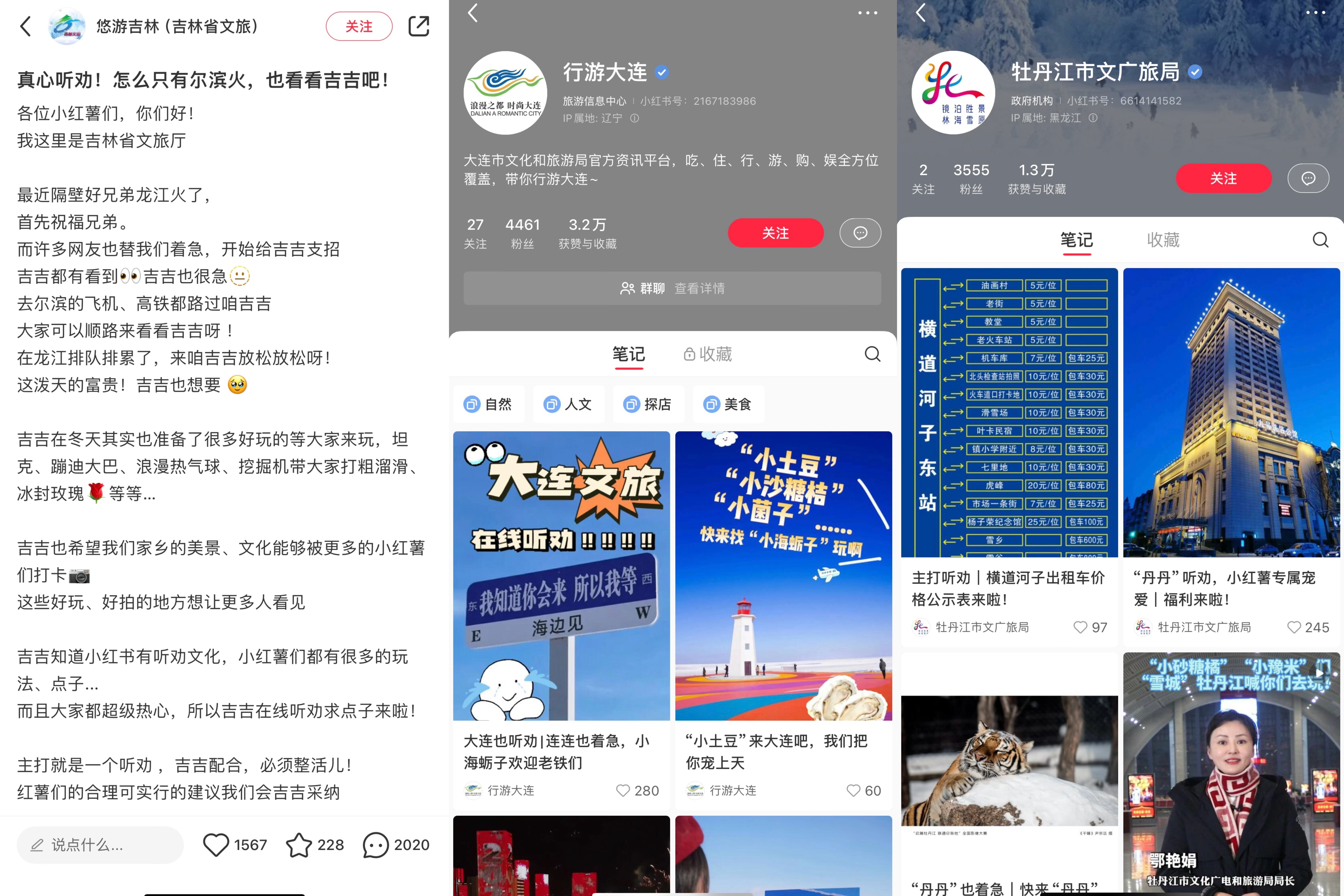 东北旅游卷出新高度：投资者们“操碎了心”，文旅局长“超级听劝”4