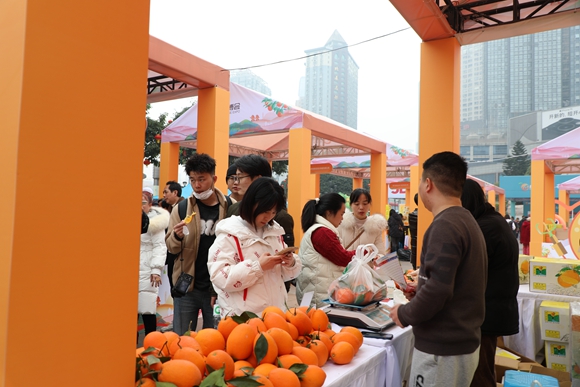 市民正在选购脐橙。刘滨清 摄