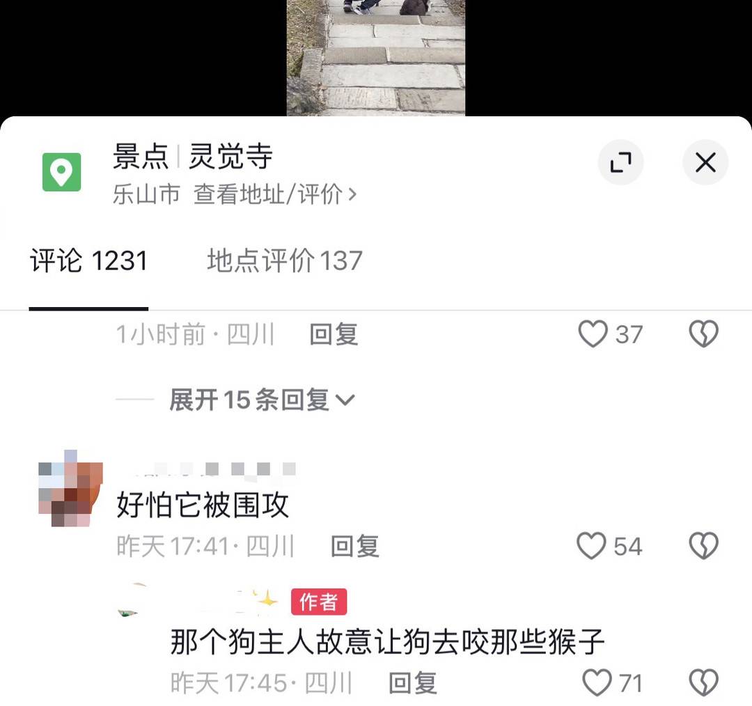 男子牵狗上峨眉山直播挑衅猴群？景区回应：带狗上山违规，没有直播博眼球2
