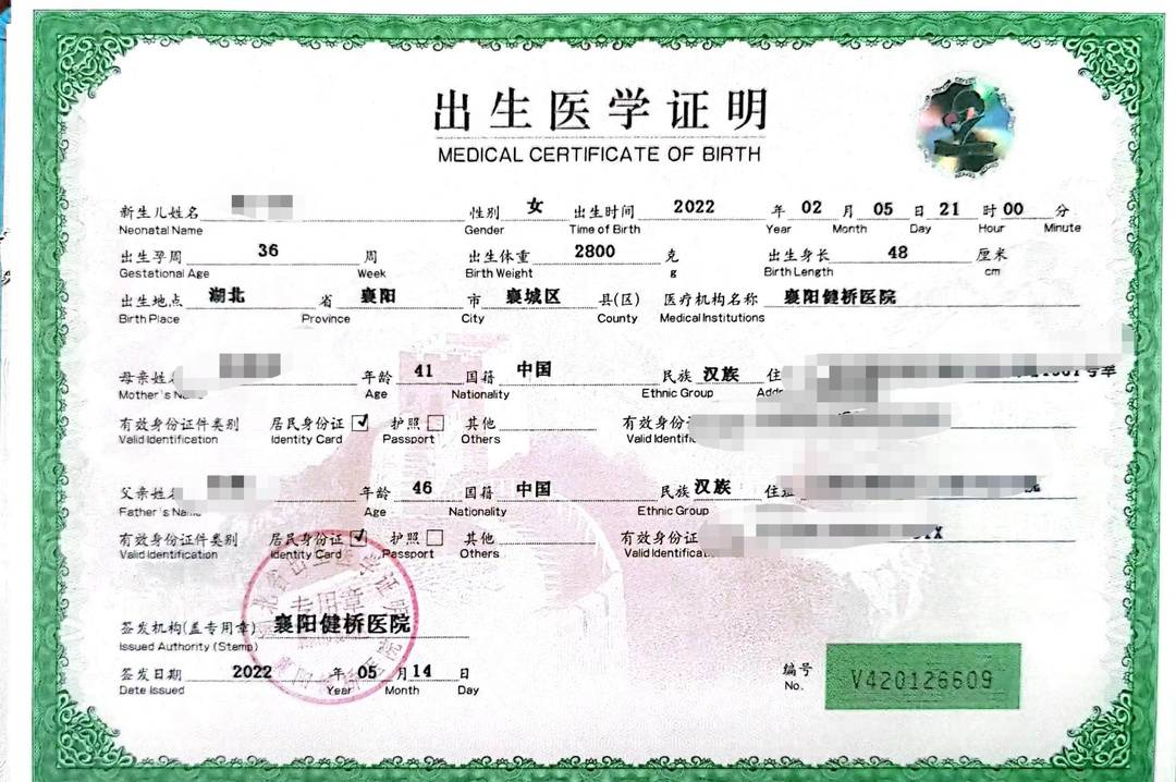 湖北襄阳通报“为代孕婴儿伪造双胞胎证明”事件：已移交公安和纪委2