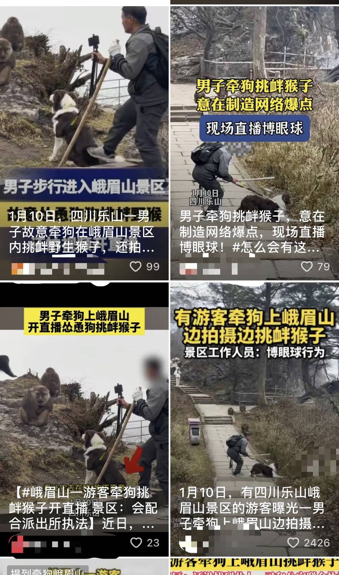 男子牵狗上峨眉山直播挑衅猴群？景区回应：带狗上山违规，没有直播博眼球3