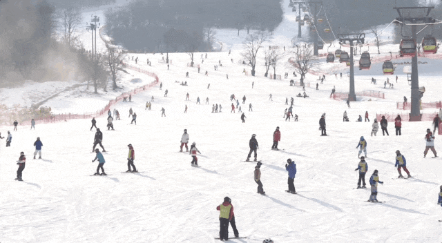 “冷冰雪”如何撬动“热经济”？东北街头观察8