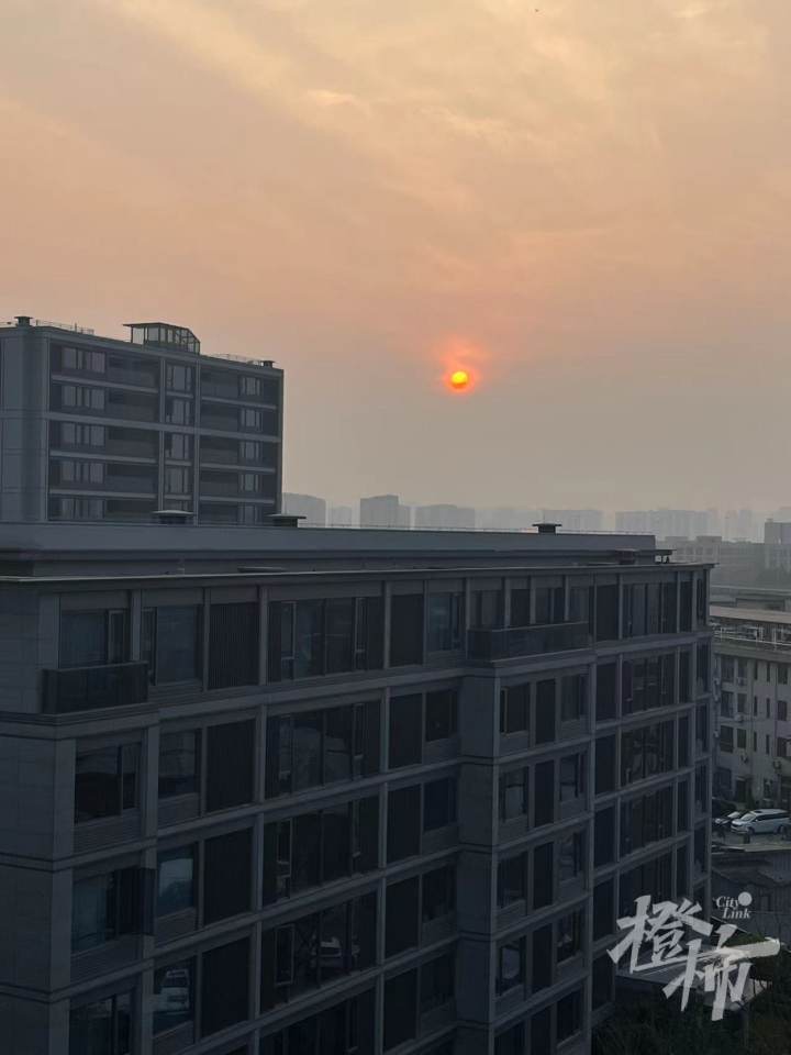 女子丧偶多年想和邻居再婚，儿子拿出父亲遗嘱把她告上法院2