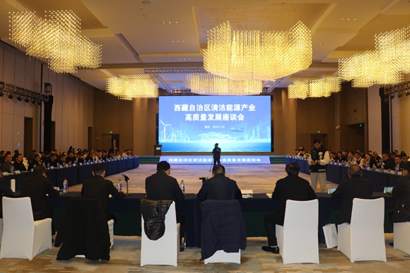 西藏自治区清洁能源产业高质量发展座谈会。华龙网记者 徐云卿 摄