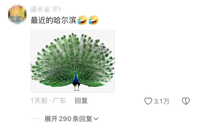 “尔滨，你还有什么是我不知道的……”2