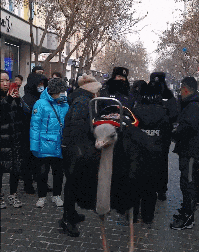 “尔滨，你还有什么是我不知道的……”12