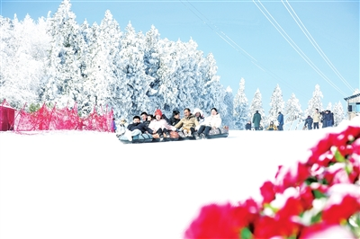 Enjoy ice and snow activities. (Photo provided by reporter Yang Dan)