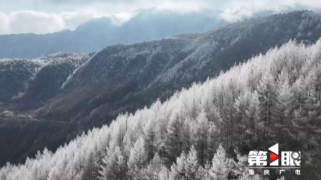 重庆多地雪花飘~20