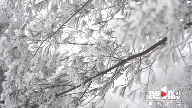 重庆多地雪花飘~21