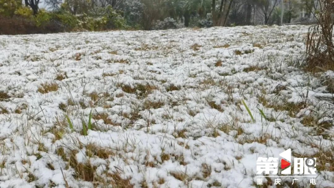 重庆多地雪花飘~17