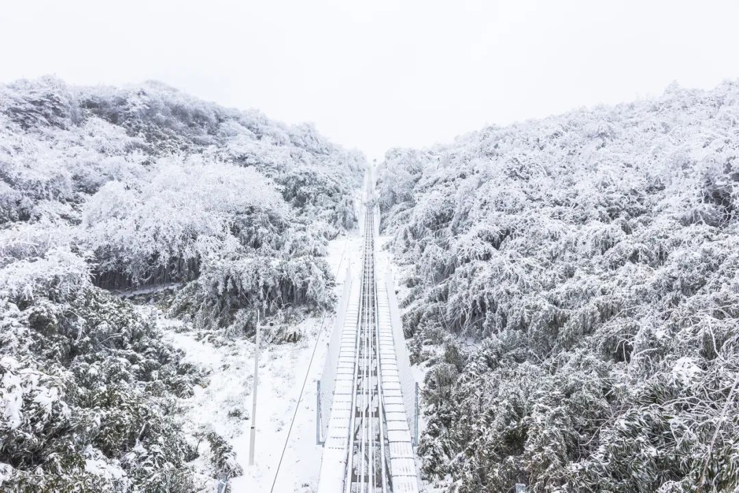 重庆多地雪花飘~39