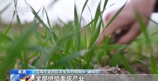 藏在擀面皮里的62项专利！7