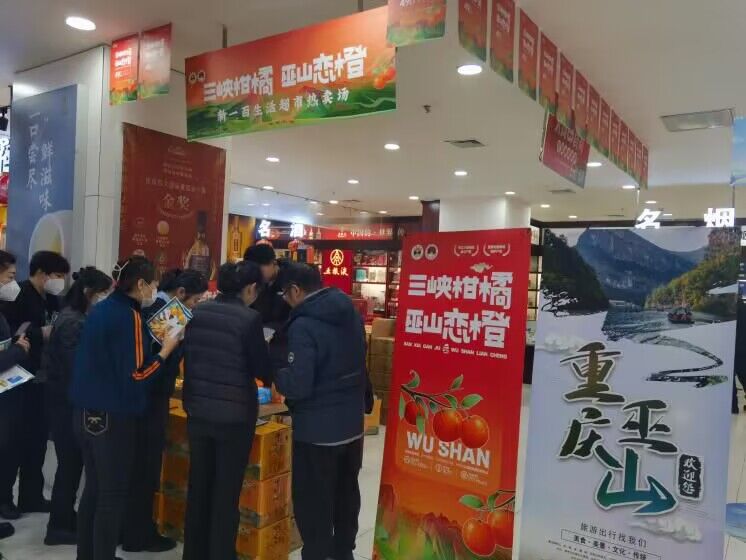 巫山恋橙收到哈尔滨市民关注。 巫山县果业中心供图