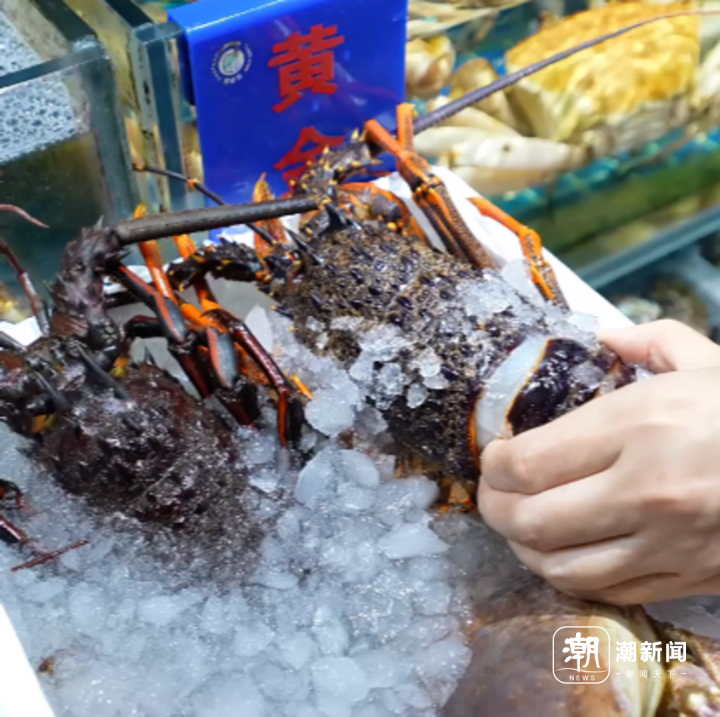 春节涨价前，海鲜市场大澳龙刚死的200一只，能买吗？2