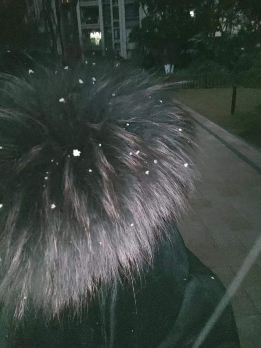 In Yubei, a netizen took a photo pf snowflakes falling on the clothes (Photo provided by a netizen)