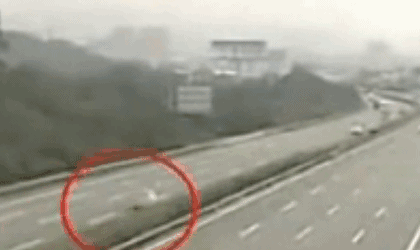 太危险！虞书欣司机高速上倒车8