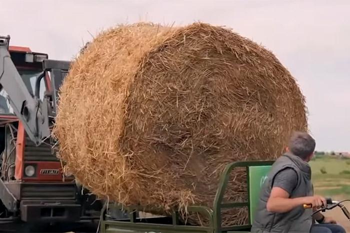 国产“三蹦子”火到国外,“倒车请注意”响彻街头2