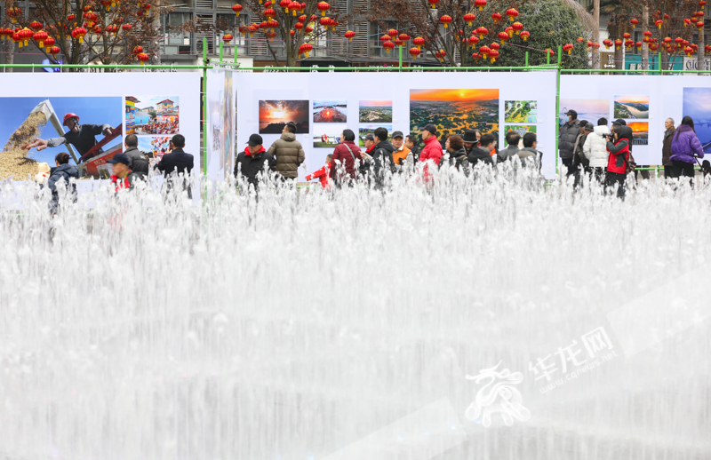 02，入展摄影作品让观众感受到长江生态发生的巨大变化。华龙网记者 张质 摄