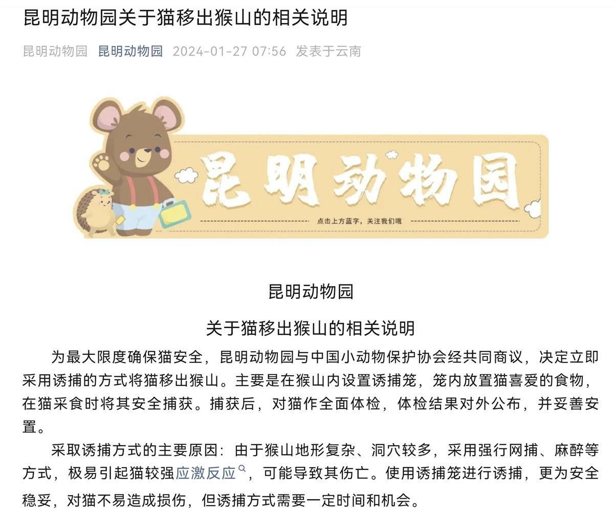 昆明动物园通报猴群与猫共处新进展，专家：将猫与猴关在一起不合适1