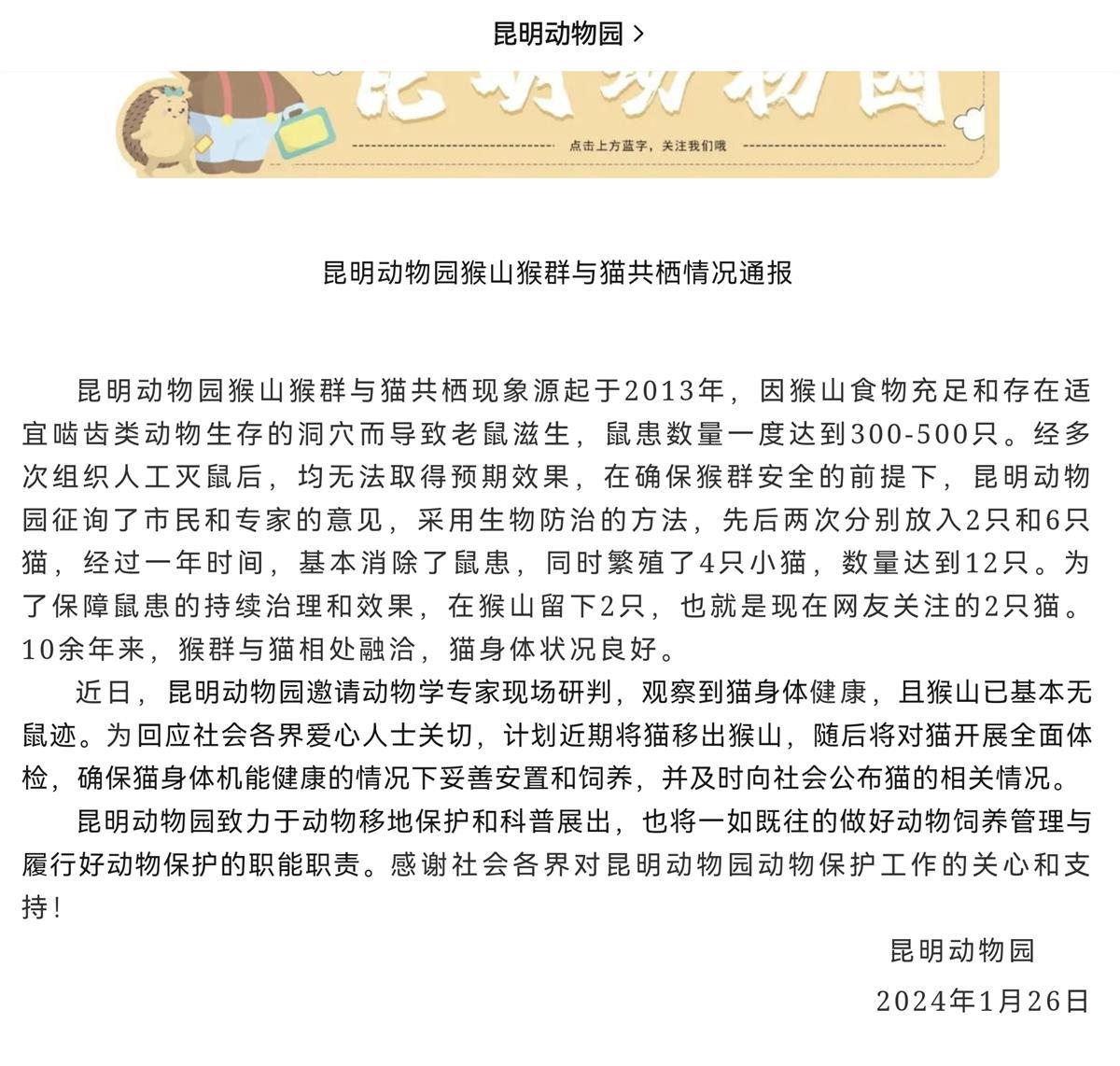 昆明动物园通报猴群与猫共处新进展，专家：将猫与猴关在一起不合适2