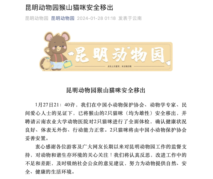 昆明动物园“猴猫共处”引争议！我们该如何对待小动物？3