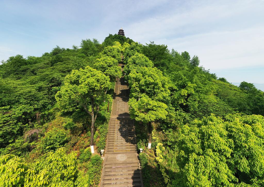 菩提山