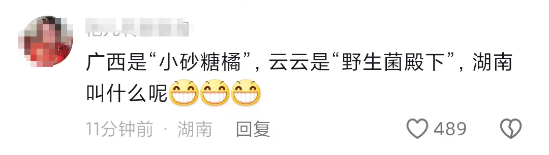 “尔滨”一天一个新花样！何超琼、李子雄、何润东……众多名人明星偷偷去打卡10