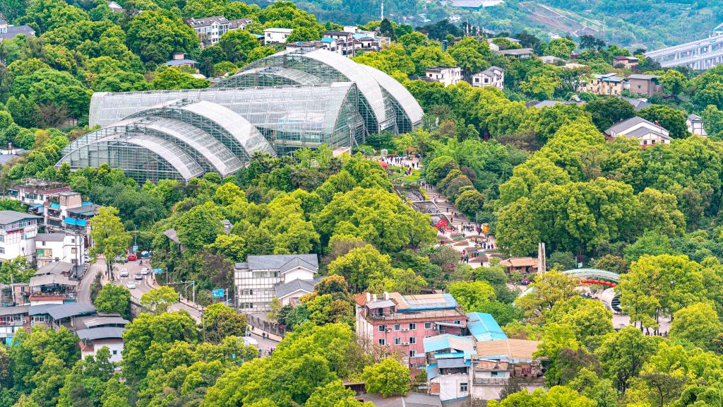 重庆南山植物园