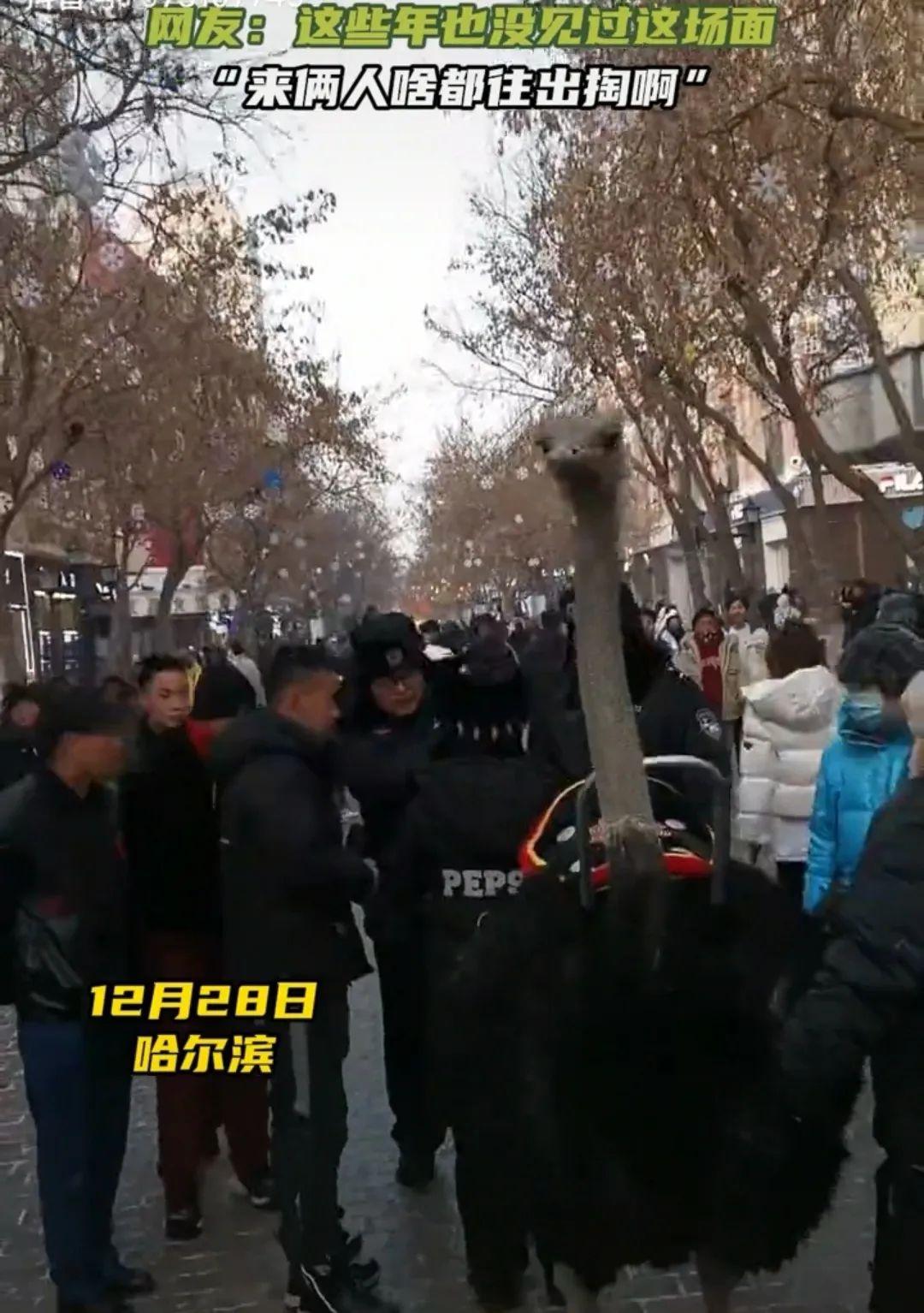 “南方小土豆”是个什么梗？哈尔滨旅游怎么突然爆火了？16