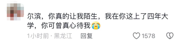 “南方小土豆”是个什么梗？哈尔滨旅游怎么突然爆火了？29