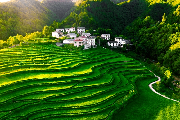 高山梯田