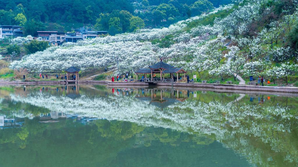 北碚区铁厂沟