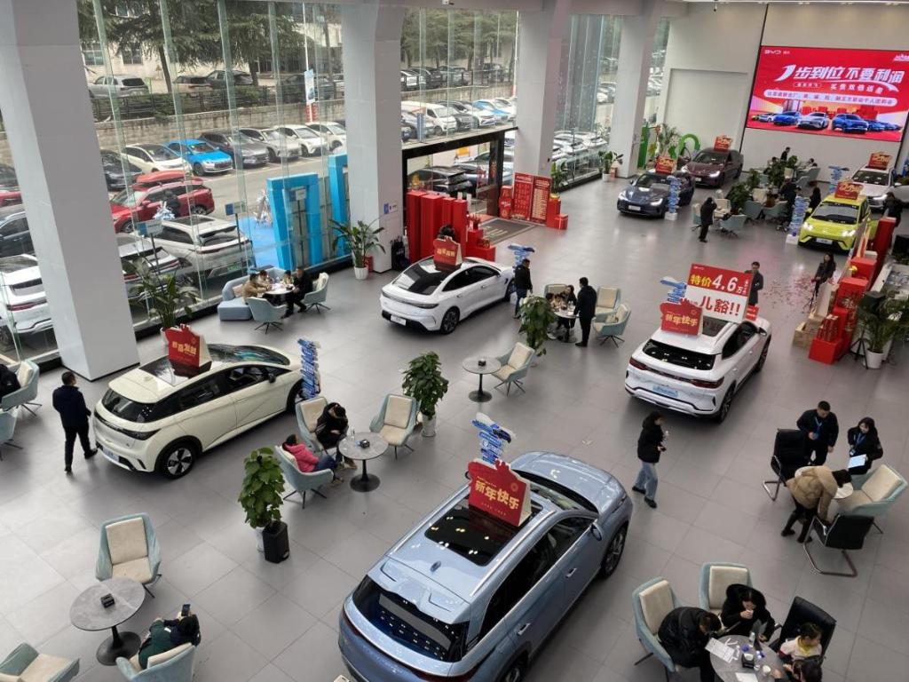 市民正在选购车。重庆市税务局供图