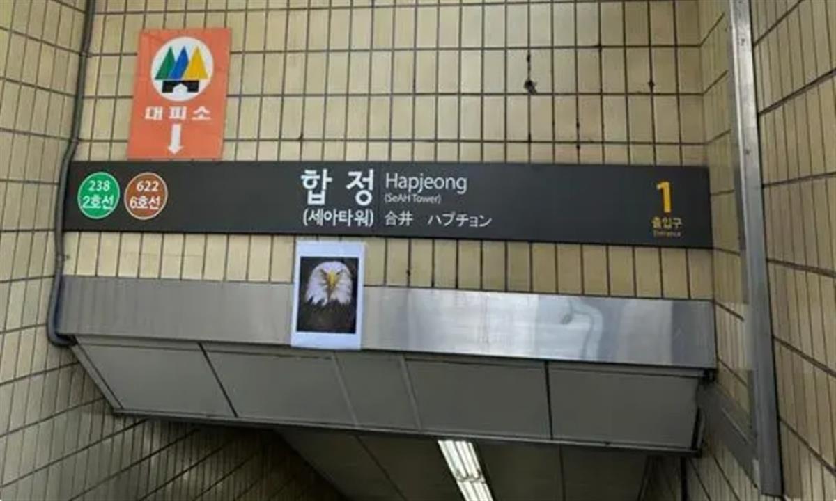 韩国首尔地铁站张贴老鹰照片“吓唬”鸽子,专家:没多大用1