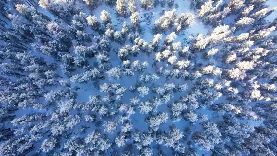 千城胜景｜雪落新星别样美2