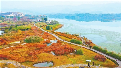 双桂湖国家湿地公园。记者 刘辉 摄