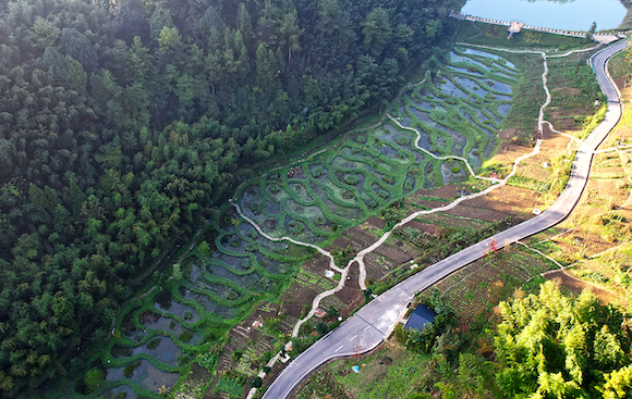 竹山镇猎神村小微湿地景观。向成国 摄
