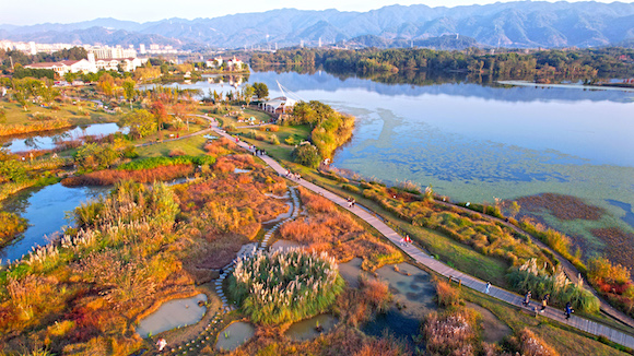 双桂湖国家湿地公园梁山草甸景点，色彩斑斓，市民在冬日美景中观光游玩。向成国 摄