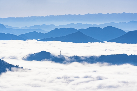 太安凤凰花果山