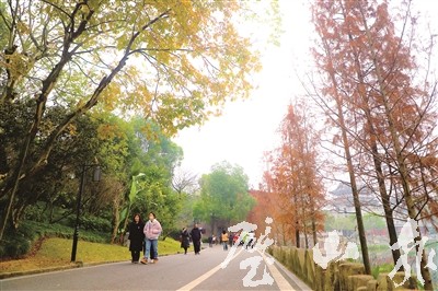 市民打卡公园体验“画中游”。记者 杨文广 摄