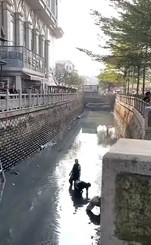 主播展示价值百万翡翠，手滑掉河里抽干水寻找？知情人称还没找到2