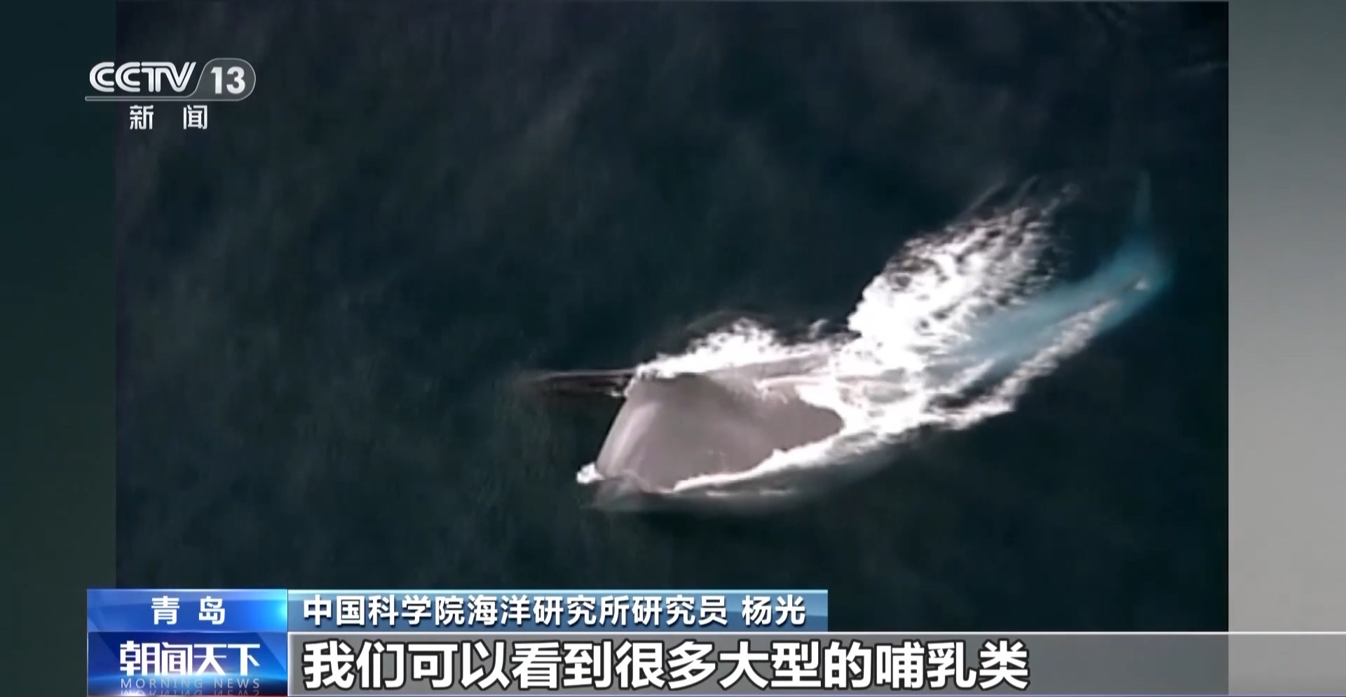 上级下发宣传提示20240107_106
