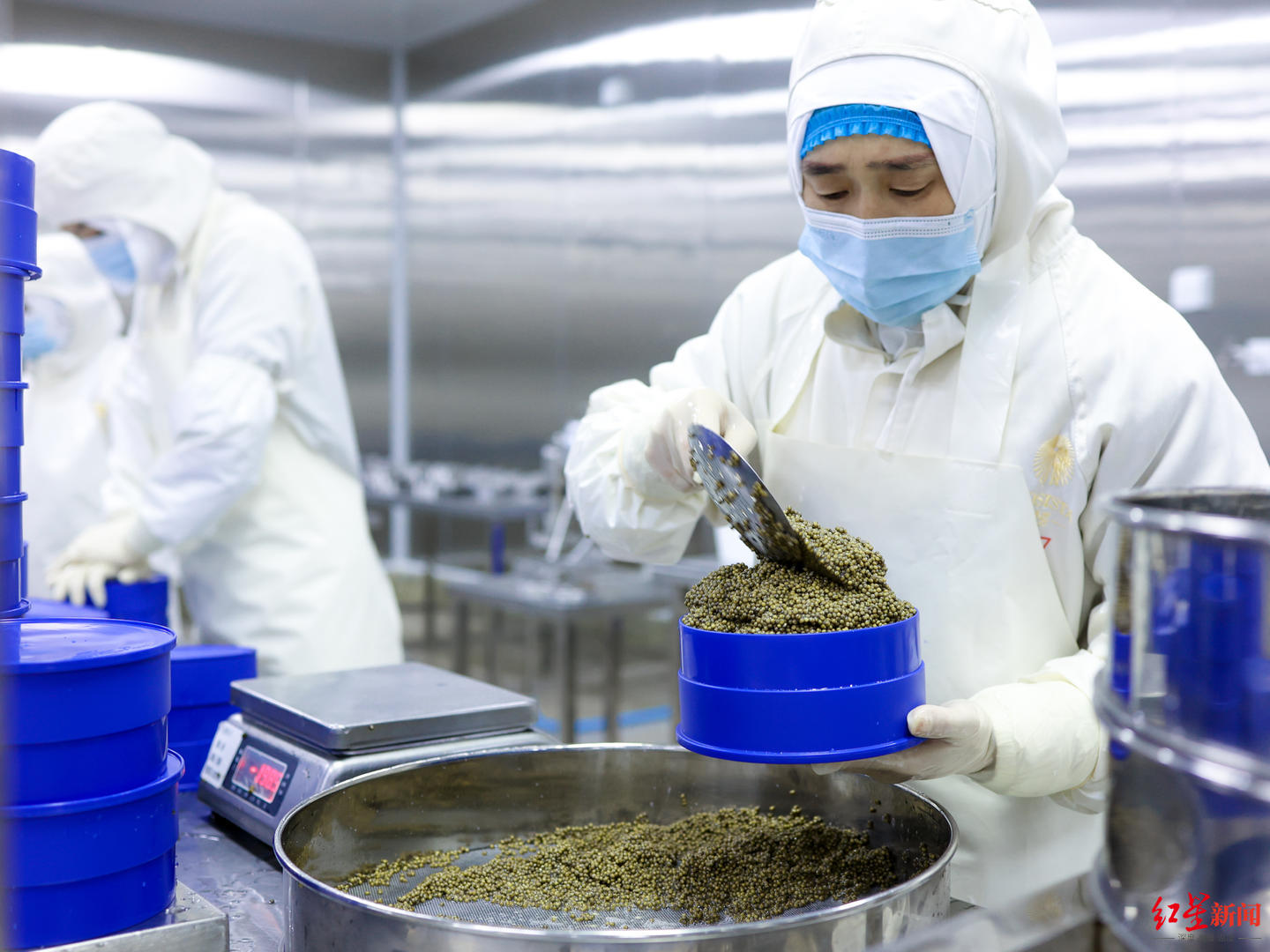 四川给尔滨回啥礼？网友竟提名鱼子酱！企业：希望本地人对这“泼天的美味”不再陌生5