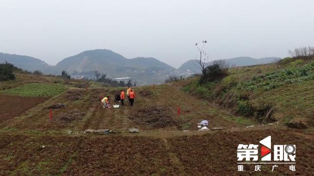 新春走基层 · 把牢粮食安全关 他们终日与泥土为伴1