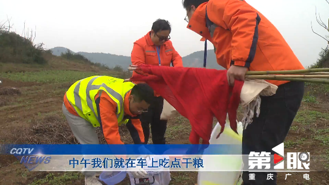 新春走基层 · 把牢粮食安全关 他们终日与泥土为伴8