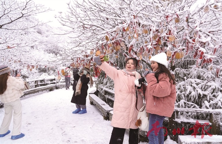 游客在金佛山赏雪拍照。胡波 摄